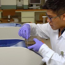 Video: Caffeine Extraction, Enzymatic Activity and Gene Expression of Caffeine Synthase from Plant Cell Suspensions