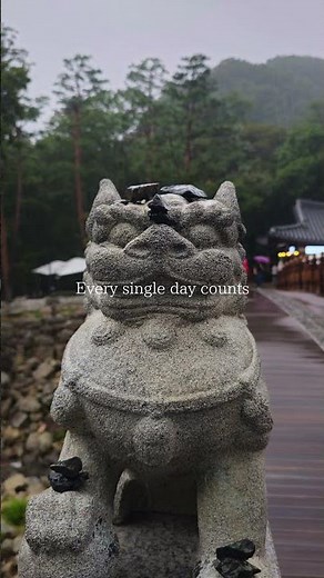 Every Single Day Counts Travel Korea 🇰🇷 Top Places to Visit in South Korea 2025 🇰🇷 #visitkorea