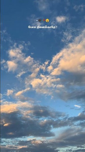 🎵 Maane Maane (From “Uriyadi”) – Anthony Daasan, Masala Coffee ❤️‍🩹🦋#shorts #youtube #lyrics