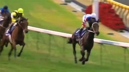 “广阔府中的一马独舞”