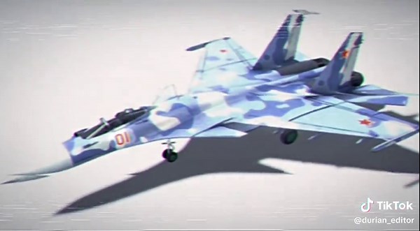 Sukhoi Flanker Family: Exploring Military Fighter Jets