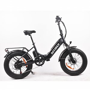 [Hot Item] 48V Adult 20 Inch Fat Tire Folding E Bike