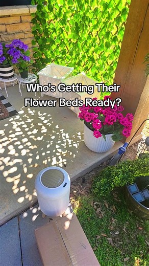 QVC 3' Faux Indoor/Outdoor Gardenia Tree @QVC, Inc #flowers #plants #flowerbed #tiktokshopstockup #tiktokshopcreatorpicks