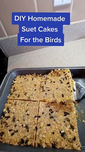 DIY Suet Cakes: Perfect Bird Feeders for Your Garden