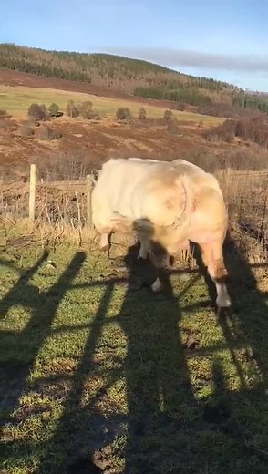 Luke Holmes (@lukeholmes319)’s videos with Whatta Man - Danny D Radio Edit - Salt-N-Pepa