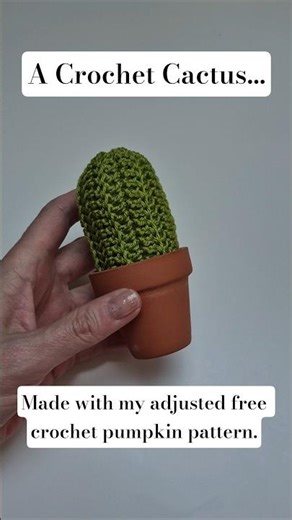 A crochet cactus or how to reuse a free pumpkin pattern! 🌵🎃 #shorts #crochet #pattern
