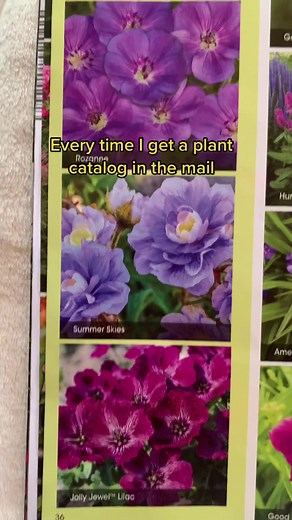 Flower Care Guide: Discover Stunning Plant Varieties