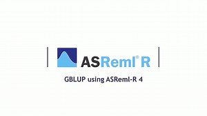 如何用ASReml R4做GBLUP分析？