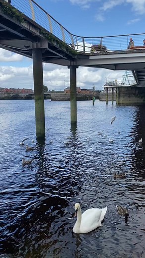 One of my favourite places, Shannon river, Limerick, Ireland. | Beauty of Ireland