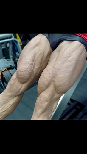 Watch the full #shredded #legworkout on our YouTube - an intense leg workout with Open Pro bodybuilder @samp_musclemodel_pro just two weeks before competition. Starting with hamstring curls for warmup, moving into leg extensions to fire up the muscle fibers, followed by leg press as the main loading movement. Jiri then hits hack squats going deep for maximum time under tension, the. the adductor machine, and finishing with calves. Throughout the session, Jiri focussss on keeping the legs full an