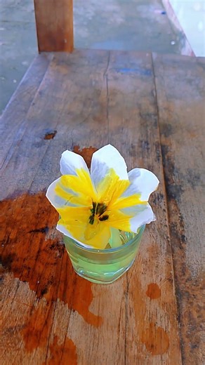 Beautiful paper flower. The simple experiment make children happy