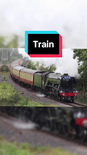 The 5 most luxurious and expensive trains in the world #top5 #expensive #train