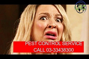 1.1K views | LIMA penyakit yang berasal dari TIKUS 1. Leptospirosis...