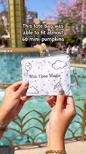 124K views · 205 reactions | I legit have an extra tote bag in my little backpack/purse at all times just in case ☺️ | Wish Upon Magic | Facebook