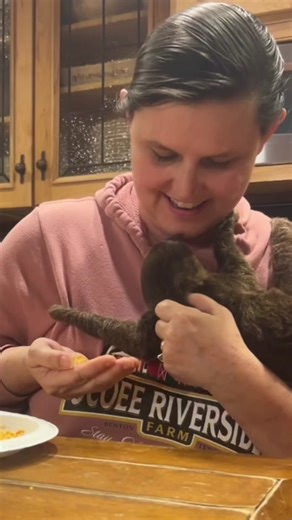 Ocoee Riverside Farm on TikTok