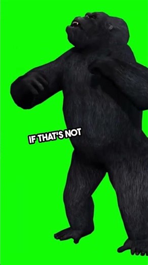 what the sign of gorilla attack?