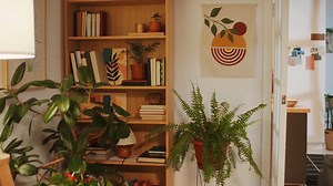 Best Plants for Home Offices Boost Productivity & Air Quality!