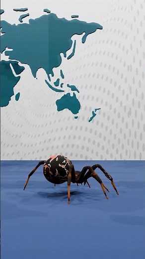Katipō Spider Facts: New Zealand’s Rare and Venomous Coastal Spider