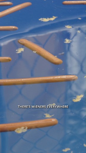 1.7K views | Hot Dog Soup for the Soul  Catch #SummerHouse, Saturday 10.30 on Bravo & ThreeNow. | Bravo New Zealand | Facebook