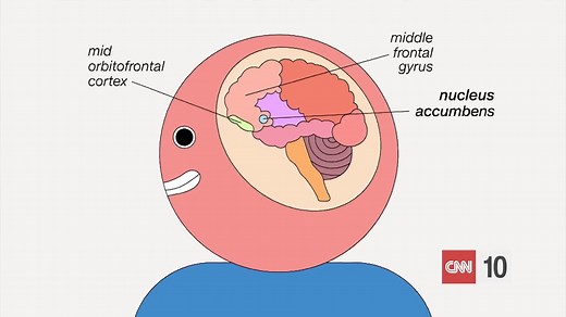 CNN 10 Student News, February 14,2024