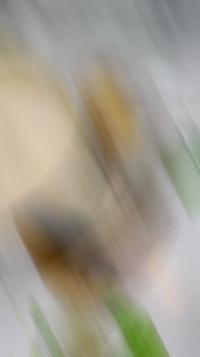 #pizzahut #pizza #burger #rahatpizzahutswat #pizzalover #swat