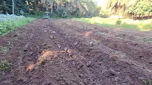 60K views · 1.4K reactions | Modern Farming! Rotating Disc Harrow To...
