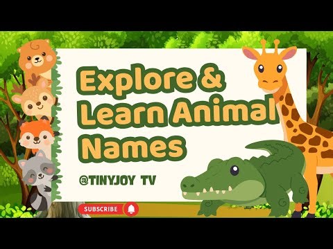 🌈A To Z Animal Names| Learn animals with Alphabets🐶🐵