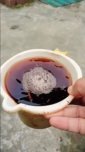 How to apply fertilizer like a pro ! #gardeningwithsaikia #fertilizer #viral #garden #ytshorts #yt
