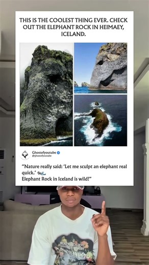 This is the coolest thing ever