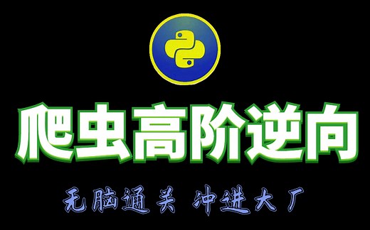 Python爬虫高阶逆向，破解加密网站，无脑通关，直冲大厂！