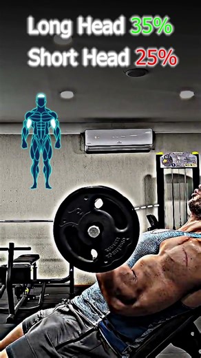 Seated Barbell Curl #shorts #fitness #motivation