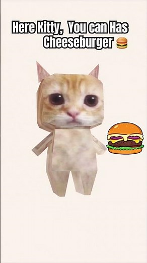 Here Kitty You Can Has Cheeseburger 🍔 😹 #catfunny