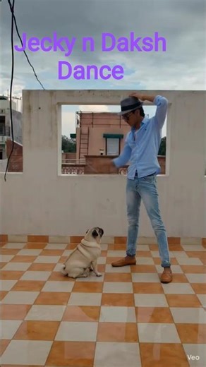 Great Dancer #pug dog lover # dog family # pet lover #