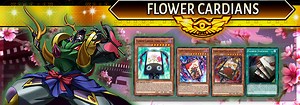 Flower Cardians Deck Breakdown | Guides, Decks & Usage Statistics | Duel Links Meta