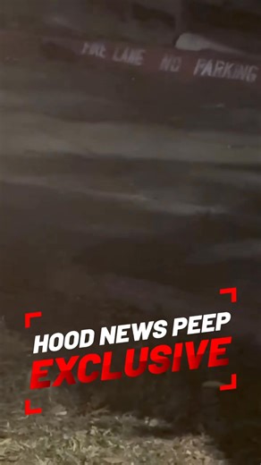 After the cameras stopped rolling, the rats came out to play. There’s now a plan of action for the Cullen Park Apartments. Yesterday, authorities were on-site, and it’s been set for inspectors to come out next week. Sharing as a reminder of the issue. A Hood News Peep sent this in. | Grizzy's Hood News