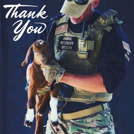 17 reactions · 4 comments | From all of us Animal Recovery Mission...