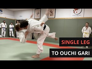 Powerful Old School Single Leg (Kuchiki Taoshi) to Ouchi Gari takedown for Judo / BJJ