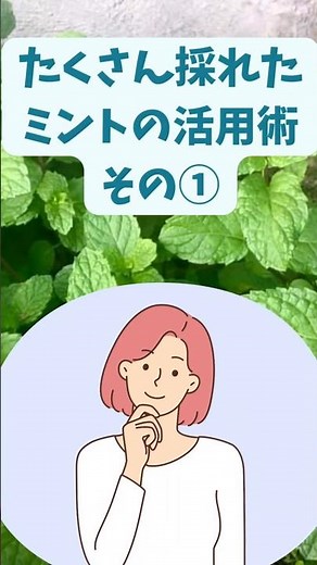 たくさん採れたミントの活用術①#ミント#ハーブ栽培 #ハーブのある暮らし