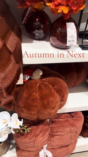 Autumn Decor Inspiration for Your Home