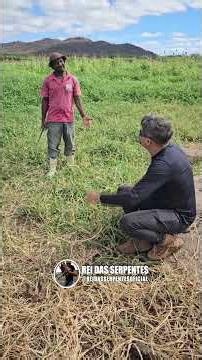Gilson's FEAR seems to be growing! #short #animals