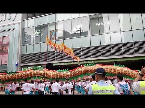 屯門天后誕 Dragon Dance 2