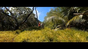 1.2K views · 40 reactions | Ever wondered what it would be like to explore The Islands of Tahiti? Wonder no more. Sit back, relax and enjoy a slice of life in Tahiti… | Tahiti Tourisme | Facebook