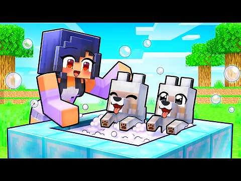 Aphmau opens a DOG SPA in Minecraft!