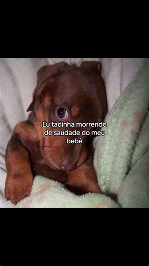 Sinto tanta saudade do meu bebê — como lidar com a ausência