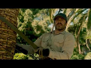 Una vida mejor 30 s Nov -Trailer Cinelatino | Cinelatino