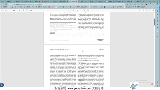 （6）Chou-Talalay分析法，药物联合作用分析 Compusyn软件安装与下载，软件用法与结果解读