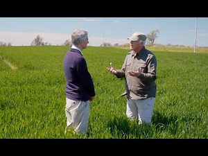 How Does Creation Show Evidence of Design?