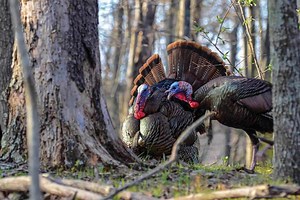 5 Best New Turkey Vests for 2025  - Game & Fish