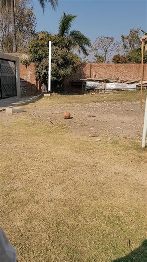 Stylish OOTD Ideas for Every Occasion