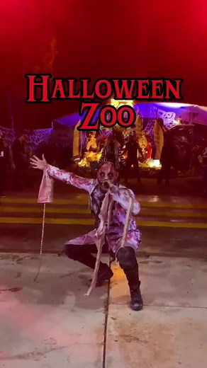 👹🚨 El terror comienza desde la entrada de Halloween Zoo ¿este año sí vas a venir? 👀 #fyp #foryou #fy #halloween #terror #horror #gto #leongto
